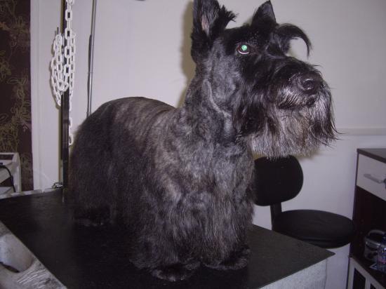 Vasco