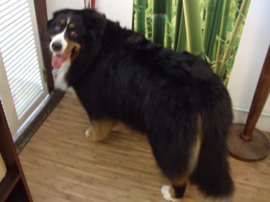 Timie