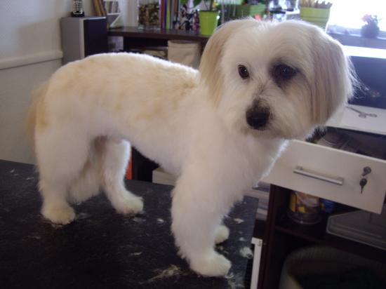 Bouba